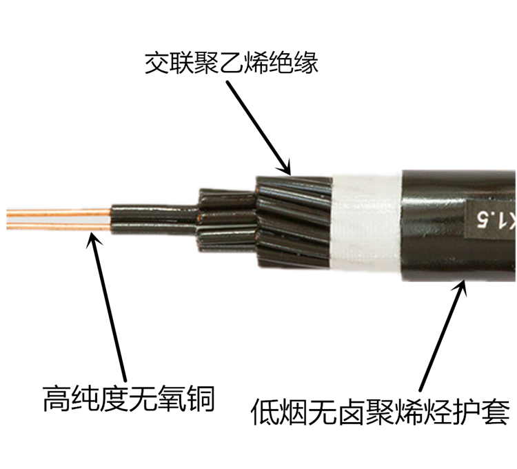 WDZ-KYJ（F）Y 低煙無(wú)鹵輻照控制電纜 1.png